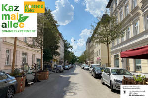 Kazmaieralle, Nachbarschaftsviertel 