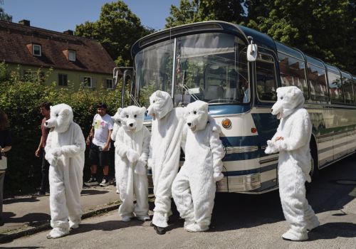Bustour, AbbrechenAbbrechen, Eisbären