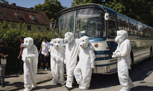 Bustour, AbbrechenAbbrechen, Eisbären
